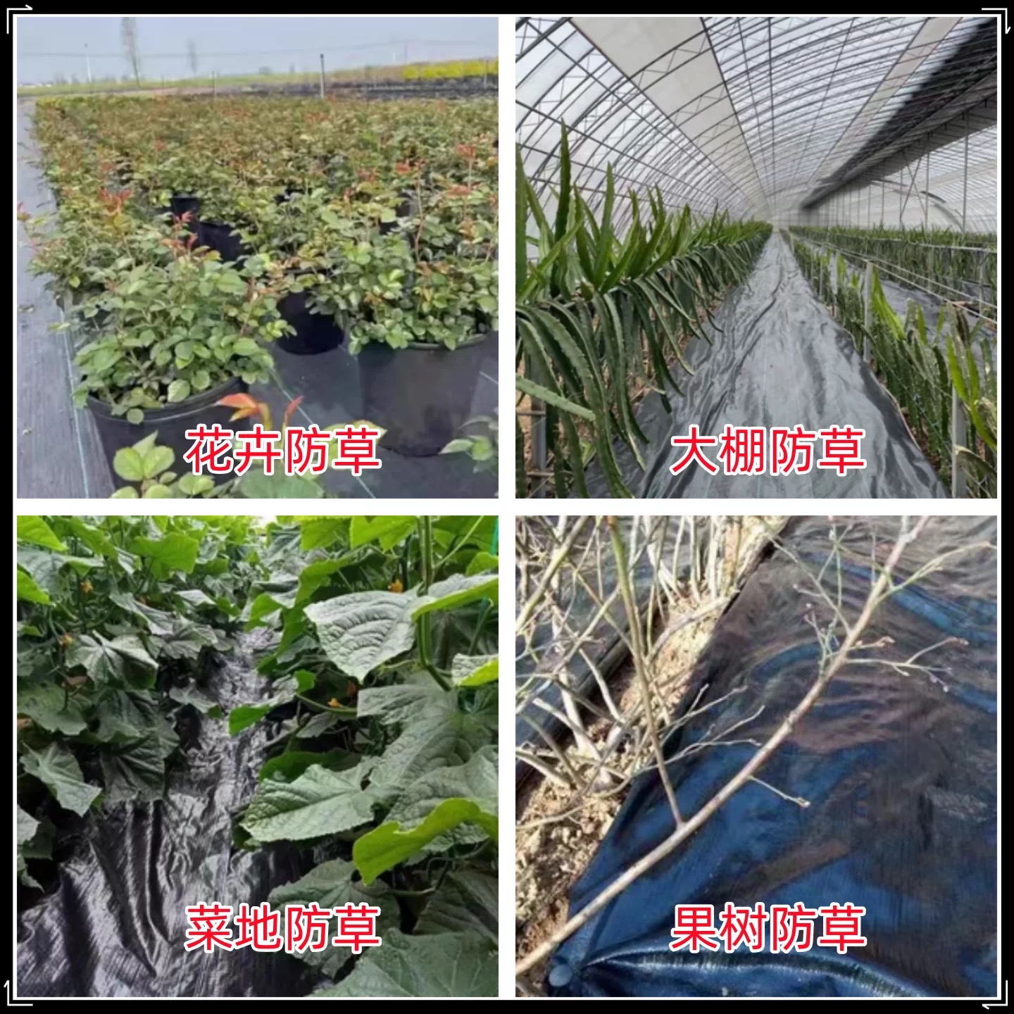 四平市果树反光膜防草布 - 排名
