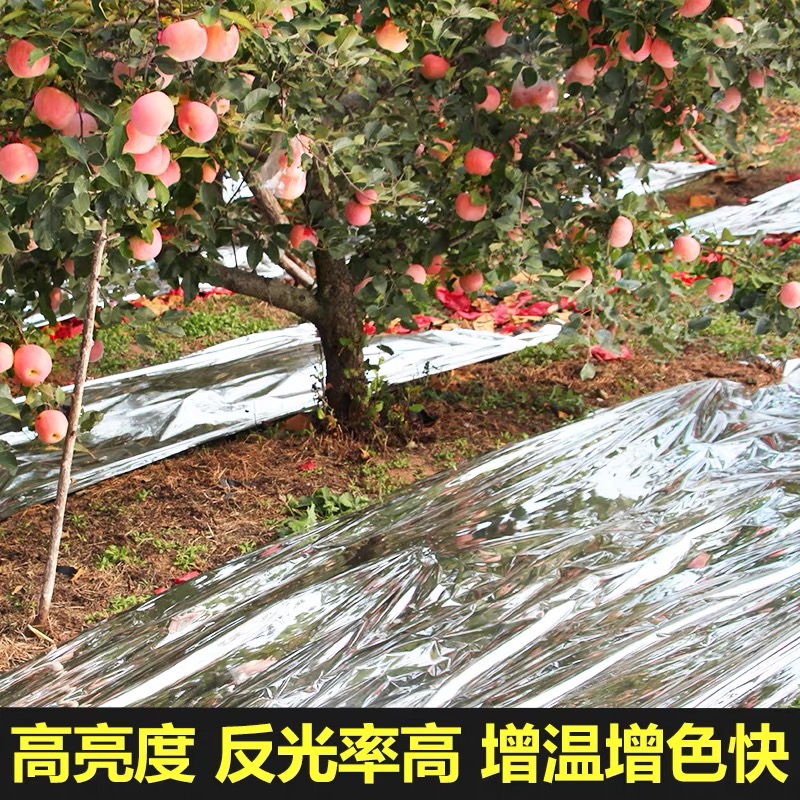 四平市大棚膜果树反光膜 - 排名